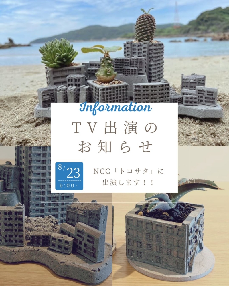 📺 テレビ出演のお知らせ